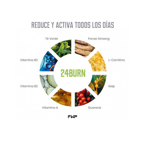 24BURN | Activador de Energía Metabólica & Rendimiento Activo