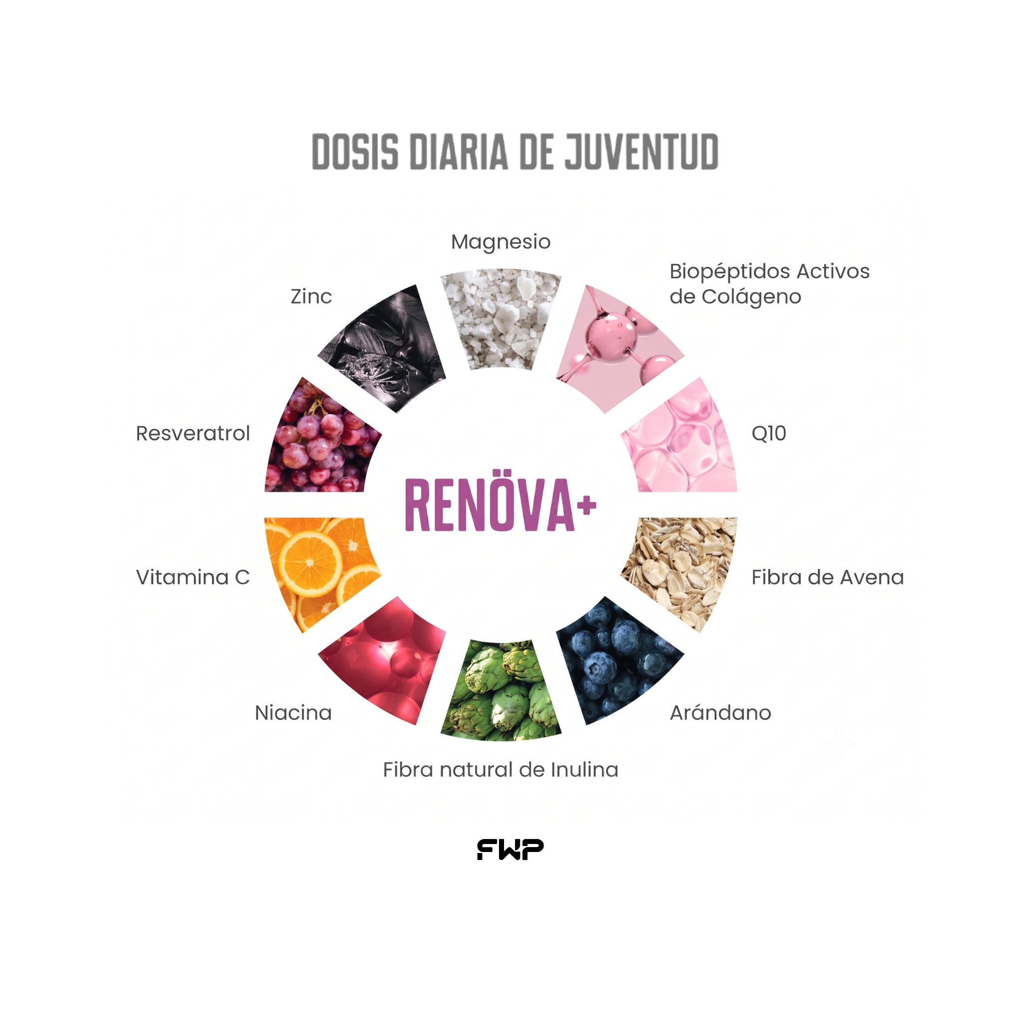 RENÖVA+ | Colágeno Hidrolizado & Complejo de Longevidad Celular
