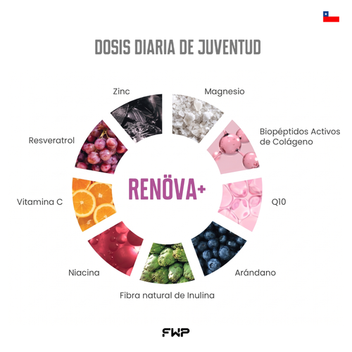 RENÖVA+ | Colágeno Hidrolizado & Complejo de Longevidad Celular