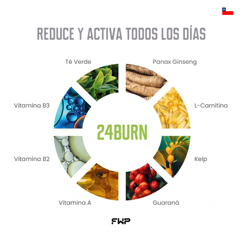 24BURN | Activador de Energía Metabólica & Rendimiento Activo